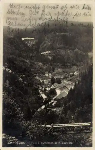 Ak Triberg im Schwarzwald, Gasthaus Bachjörg, Die 3 Bahnlinien