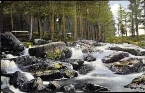 Ak Braunlage im Oberharz, Bodewasserfall