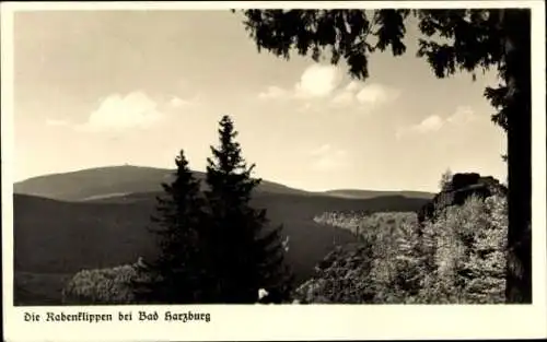 Ak Bad Harzburg am Harz, Die Rabenklippen, Panorama