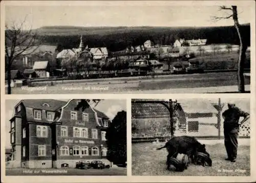 Ak Würgendorf Burbach Siegerland, Hotel zur Wasserscheide, Inh. Fr. Oswald, Wildschwein Hochwald