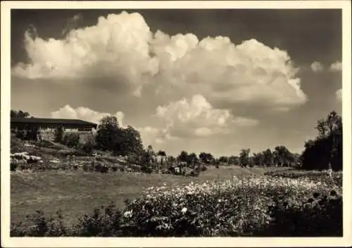 Ak Stuttgart in Württemberg, Reichsgartenschau 1939, Tal der Rosen