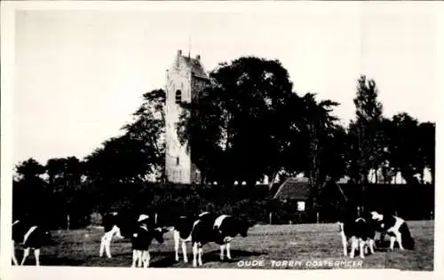 Ak Oostermeer-Friesland Niederlande, alter Turm, Blick auf die Wiese