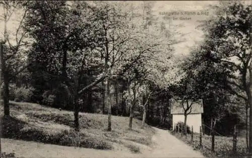 Ak Hohegrete Pracht im Westerwald, Im Garten