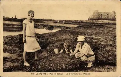 Ak Le Portel Pas de Calais, Cueillette des Moules