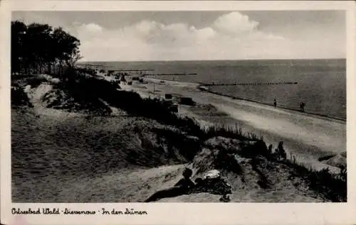 Ak Dziwnówek Wald Dievenow Pommern, Dünen, Strand