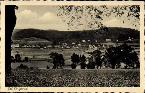 Ak Lázně Kynžvart Bad Königswart Region Karlsbad, Panorama