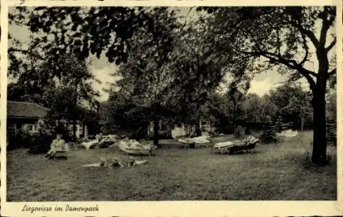 Ak Kettwig Essen im Ruhrgebiet, Stadtwald-Sanatorium Jungborn, Liegewiese im Damenpark