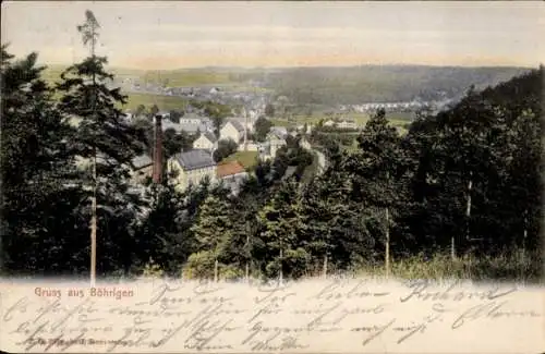 Ak Böhrigen Striegistal Sachsen, Panorama