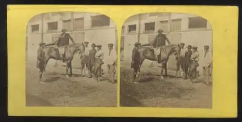 Stereo Foto, Schmied, Arbeiter, Reiter, Pferd vor einem Stallgebäude, um 1900