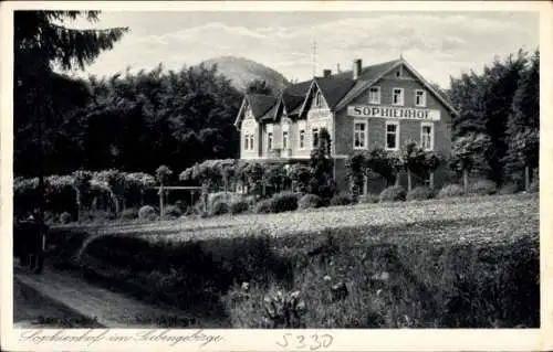 Ak Königswinter am Rhein, Oelberg, Hotel-Pension Sophienhof