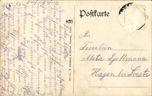 Ak Syke in Niedersachsen, Friedeholz, Wald