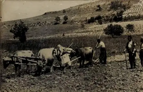 Foto Ak Landwirtschaft, Ackerarbeit, Bauern, Pflug