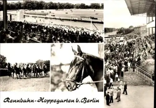 Ak Hoppegarten in Brandenburg, Pferderennbahn, Zuschauer