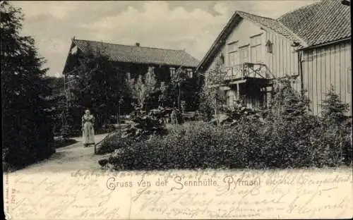 Ak Bad Pyrmont in Niedersachsen, Sennhütte