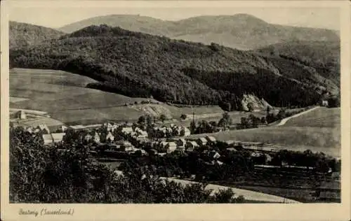 Ak Bestwig im Sauerland, Totalansicht