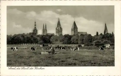 Ak Soest in Westfalen, Kirchtürme, Kuhweide