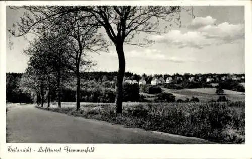 Ak Flammersfeld im Westerwald, Teilansicht