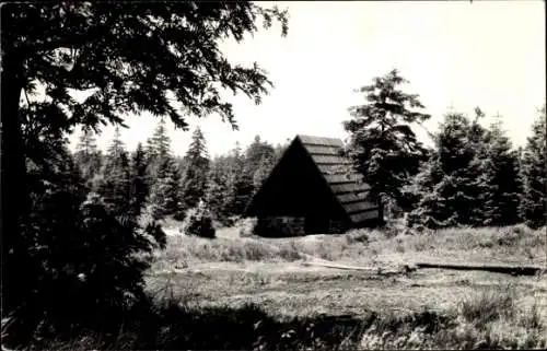 Ak Zinnwald Georgenfeld Altenberg im Erzgebirge, Georgenfelder Hochmoor