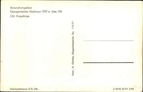 Ak Zinnwald Georgenfeld Altenberg im Erzgebirge, Georgenfelder Hochmoor