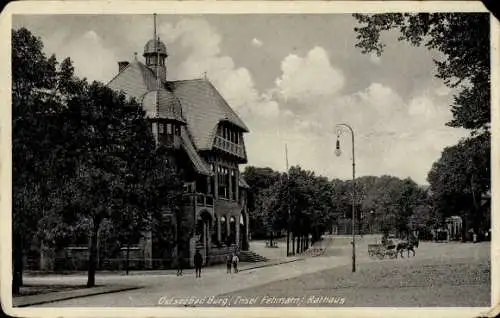 Ak Burg auf der Insel Fehmarn, Rathaus, Kutsche