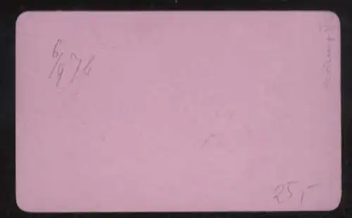 CdV Foto Bingen u. Umgebung, Mäuseturn und Ehrenfels, Raddampfer auf dem Rhein