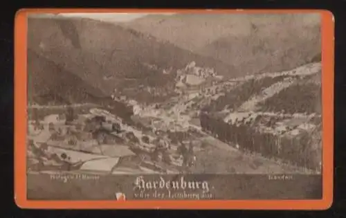 CdV Foto Hardenburg Bad Dürkheim in der Pfalz, Jägertal, Panorama von der Limburg