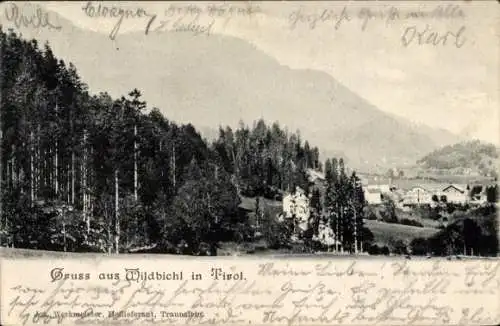 Ak Wildbichl Tirol, Teilansicht mit Wald