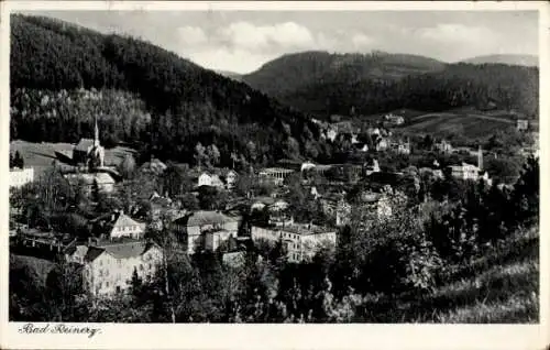 Ak Duszniki Zdrój Bad Reinerz Schlesien, Gesamtansicht