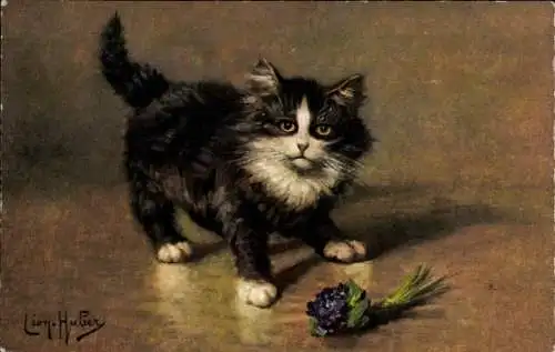 Künstler Ak Huber, Leon, Schwarz weiße Katze mit Blumen