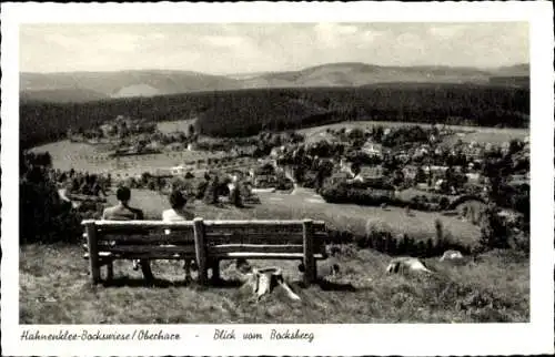 Ak Hahnenklee Bockswiese Goslar im Harz, Blick vom Bocksberg