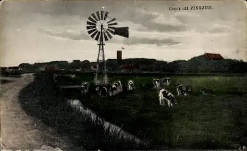 Ak Pinjum Súdwest Fryslân Niederlande, Kuhherde, Dorf, Windrad