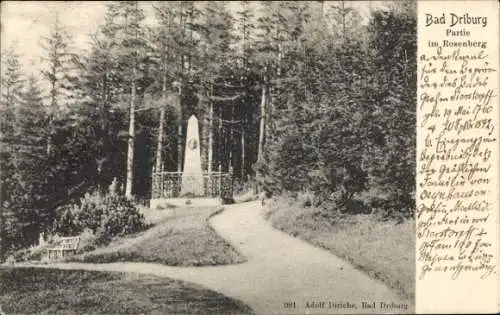 Ak Bad Driburg in Westfalen, Rosenberg, Denkmal