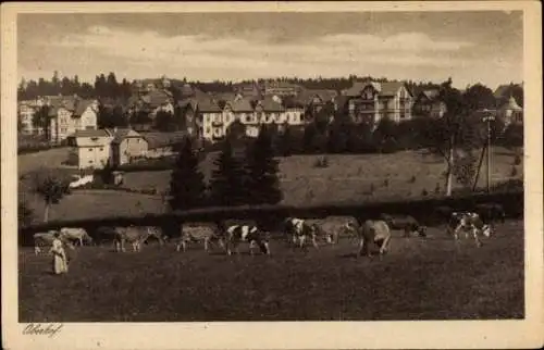 Ak Oberhof im Thüringer Wald, Teilansicht mit Kuhweide