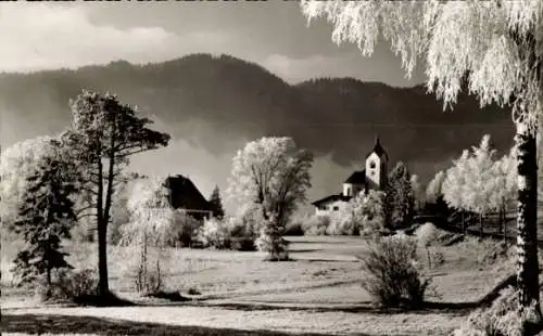 Ak Füssen im Allgäu, Rauhreif am Weissensee, Winter