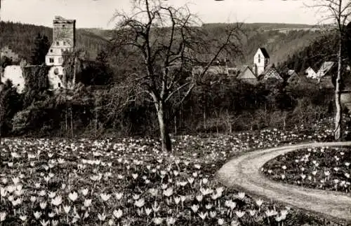 Ak Zavelstein im Schwarzwald Württemberg, Feldweg, Blumenwiese