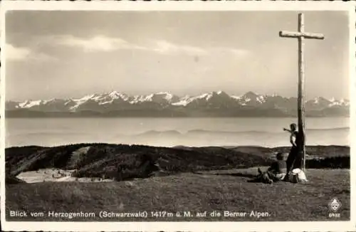 Ak Bernau im Schwarzwald, Blick vom Herzogenhorn auf die Berner Alpen