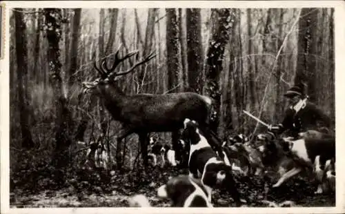 Ak Salbris Loir et Cher, Chasse a courre en Sologne