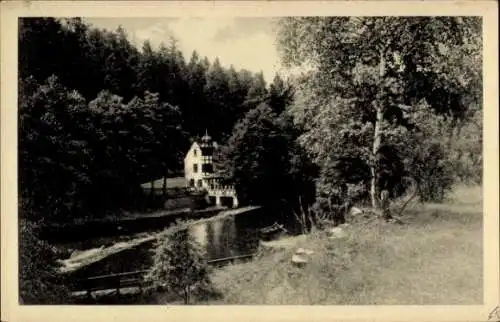 Ak Cheb Eger Region Karlsbad, Insel Mühlert, Waldcafé