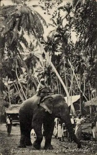 Ak Ceylon Sri Lanka, Elefant in einem Dorf