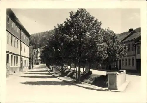 Ak Leutenberg in Thüringen, Straßenpartie