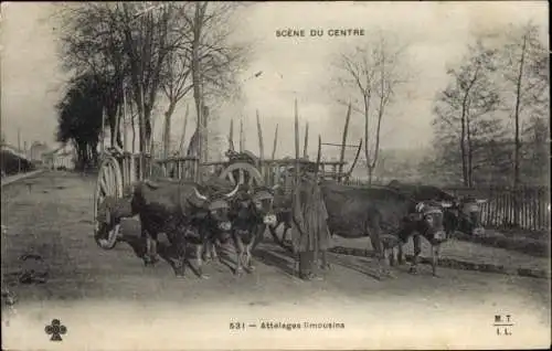 Ak Scenes du Centre, Attelages limousins