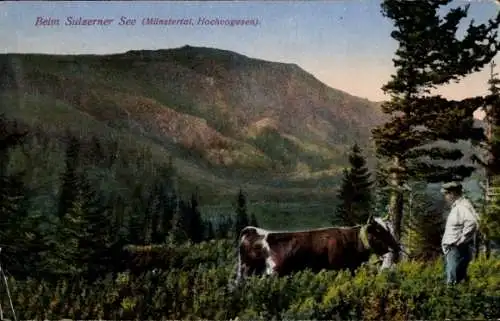 Ak Soultzeren Sulzern Elsass Haut Rhin, Sulzerner See, Münstertal