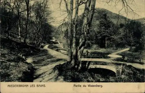 Ak Niederbronn les Bains Bad Niederbronn Elsass Bas Rhin, Wasenberg