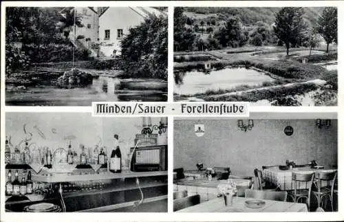 Ak Minden a.d. Sauer, Forellenstube, Inh. T. Bruder, Teich, Park