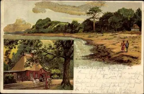 Litho Altenhof bei Eckernförde, Teilansichten, Reetdachhaus, Kutsche