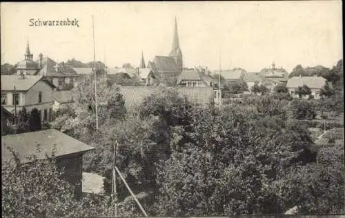 Ak Schwarzenbek in Lauenburg, Gesamtansicht