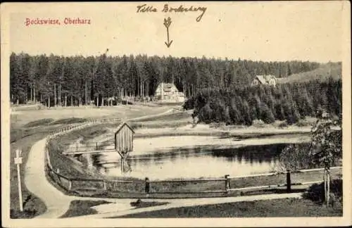 Ak Hahnenklee Bockswiese Goslar im Harz, Teilansicht, Villa