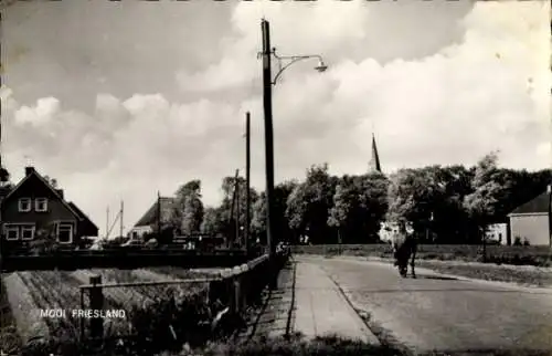 Ak Ried Waadhoeke Fryslân Niederlande, schönes Friesland, Straatweg