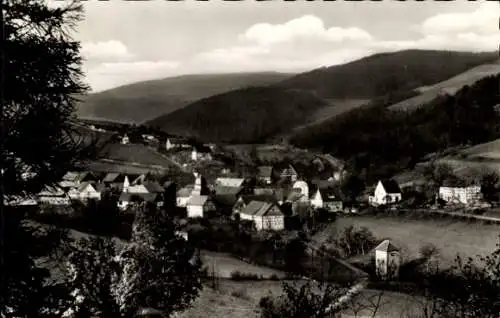 Ak Titmaringhausen Medebach im Sauerland, Panorama