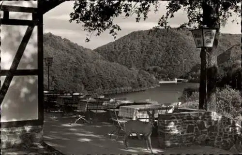 Ak Heimbach in der Eifel, Terrasse am See, Panorama, Rehkitz